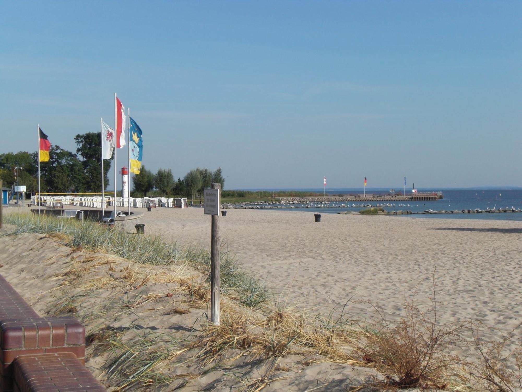 דירות Ueckermünde Kleine Sonnenblume מראה חיצוני תמונה